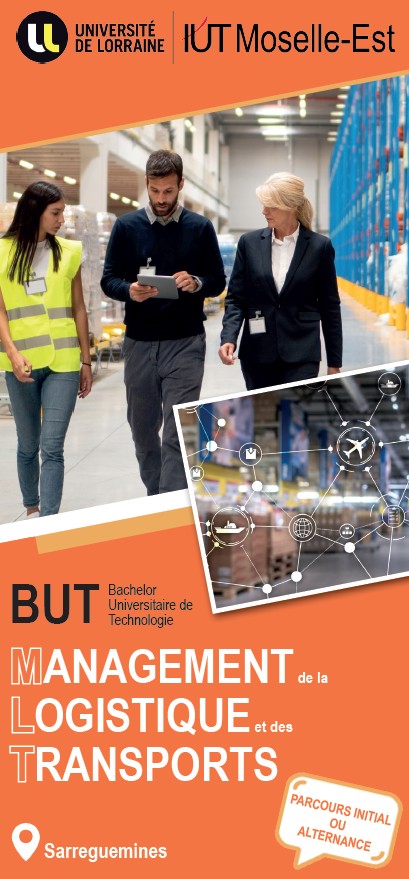 flyer mlt